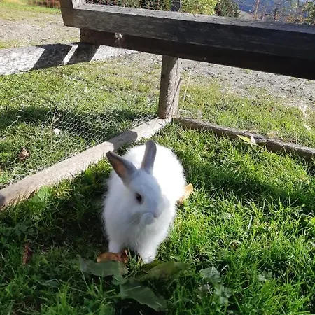 Beim Bergbauer In *